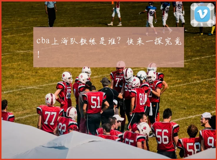 cba上海队教练是谁？快来一探究竟！