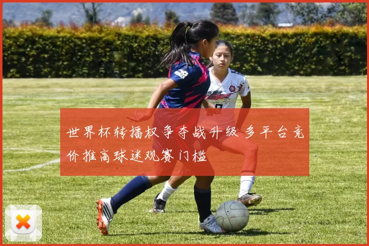 世界杯转播权争夺战升级 多平台竞价推高球迷观赛门槛