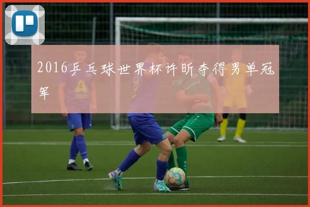 2016乒乓球世界杯许昕夺得男单冠军